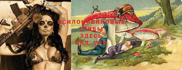 сатива Богданович