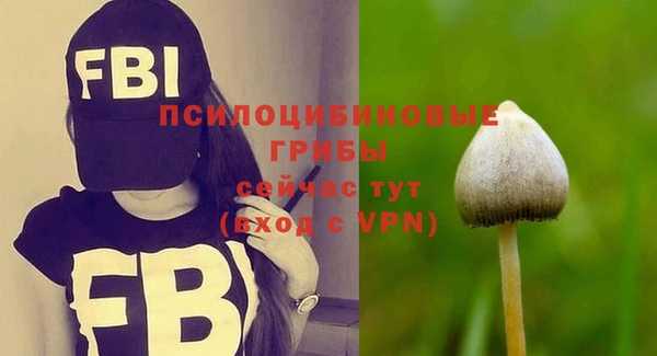 2c-b Богородицк