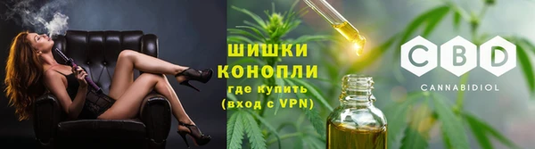 сатива Богданович