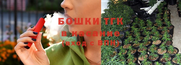сатива Богданович