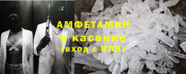 сатива Богданович