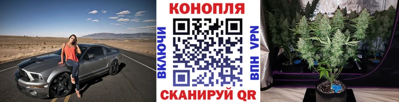 Конопля White Widow  Гаврилов-Ям 